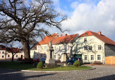 Salzmarkt Taxi